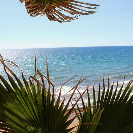 Bougainvillea Bamira